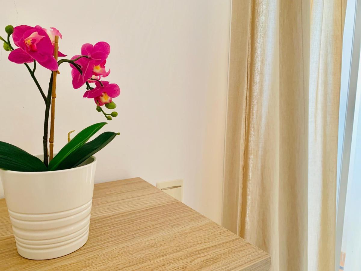 Homely Malaga Parras Con Terraza Interior Y Parking Privado Bajo Suplemento Exterior foto